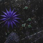 Tło Fotograficzne Negro