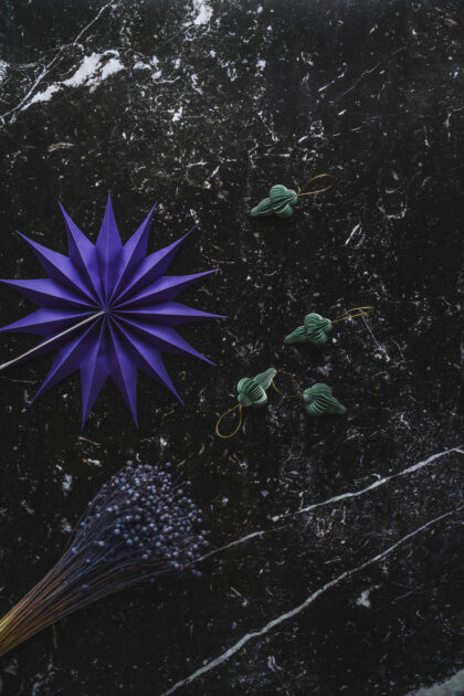 Tło Fotograficzne Negro