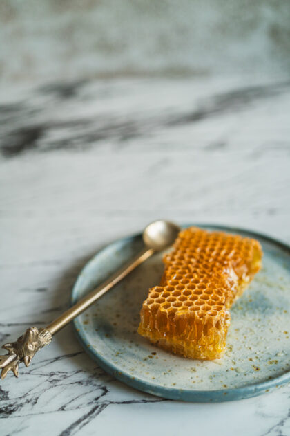 Tło Fotograficzne Viento