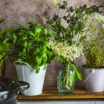 Tło Fotograficzne Vintage Memories