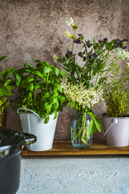 Tło Fotograficzne Vintage Memories