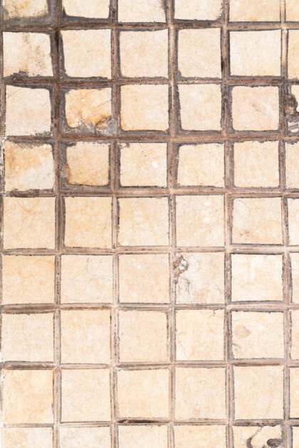 Tło Fotograficzne Lirio