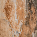 Tło Fotograficzne Oasis