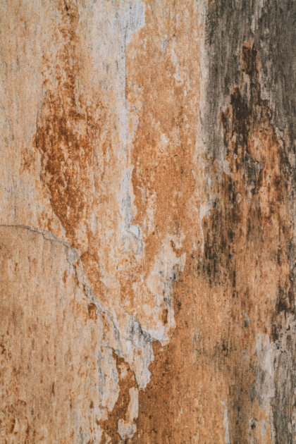 Tło Fotograficzne Oasis