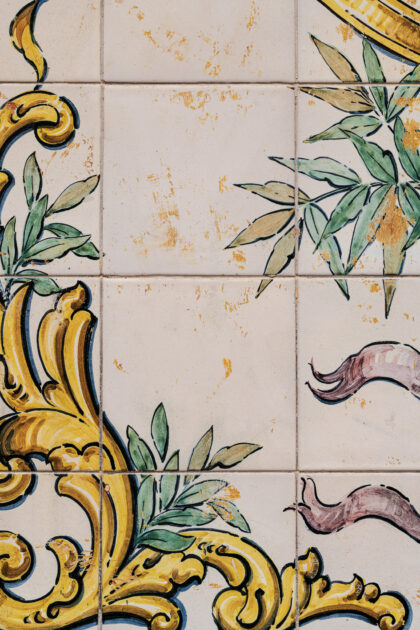 Tło Fotograficzne Sol