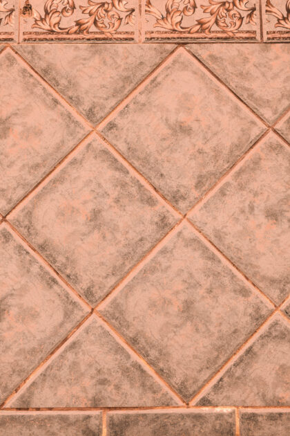 Tło Fotograficzne Arena