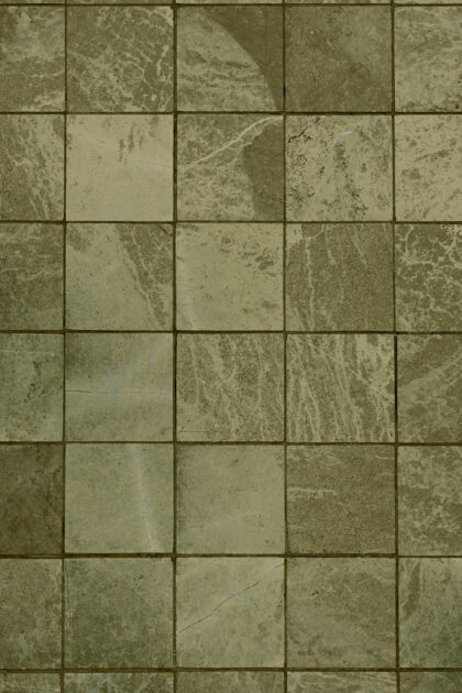 Tło Fotograficzne Almendra