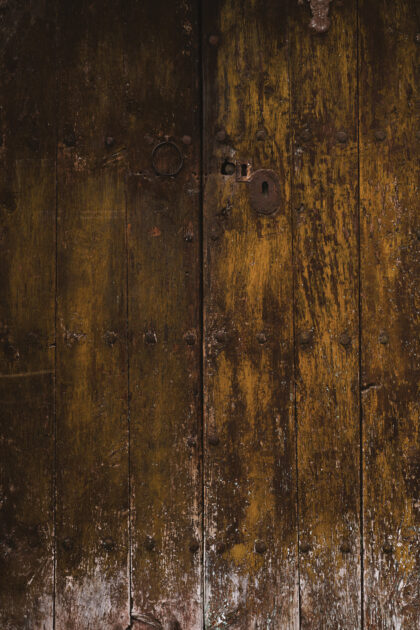 Tło Fotograficzne Tierra