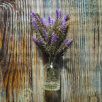 Tło Fotograficzne Cloudwood