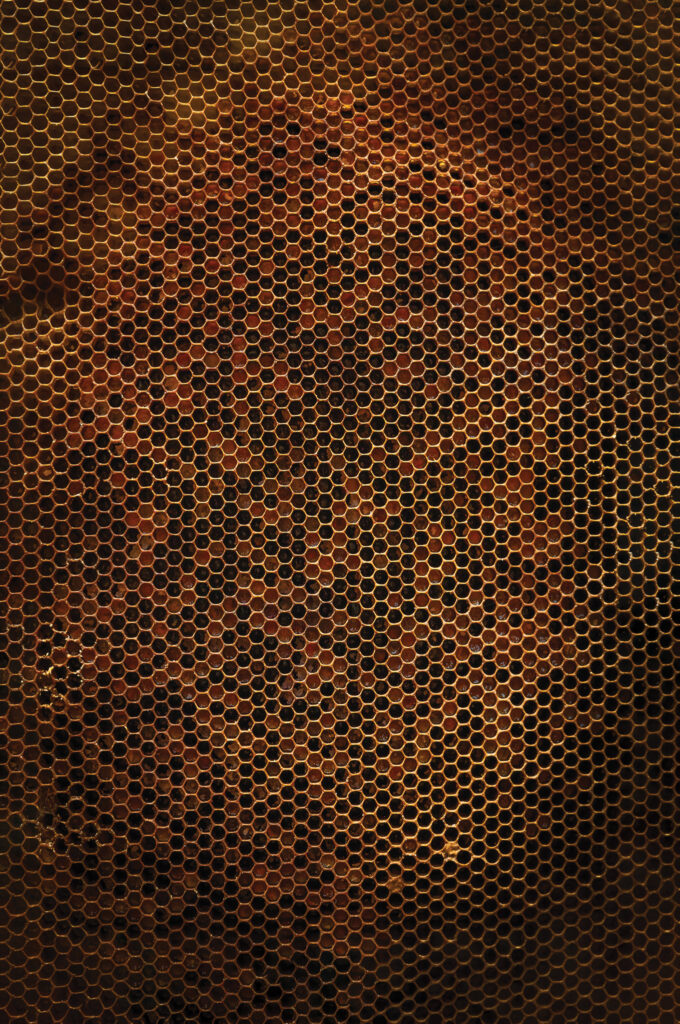 Tło Fotograficzne Honeycomb