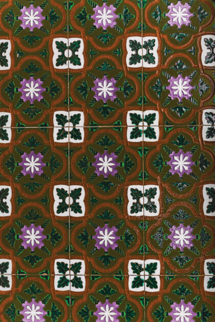 Tło Fotograficzne Salsa y Sol