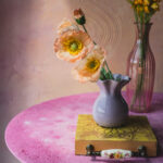 Tło Fotograficzne Mistelle