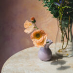 Tło Fotograficzne Solvane