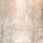 Tło Fotograficzne Palea