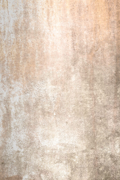 Tło Fotograficzne Palea