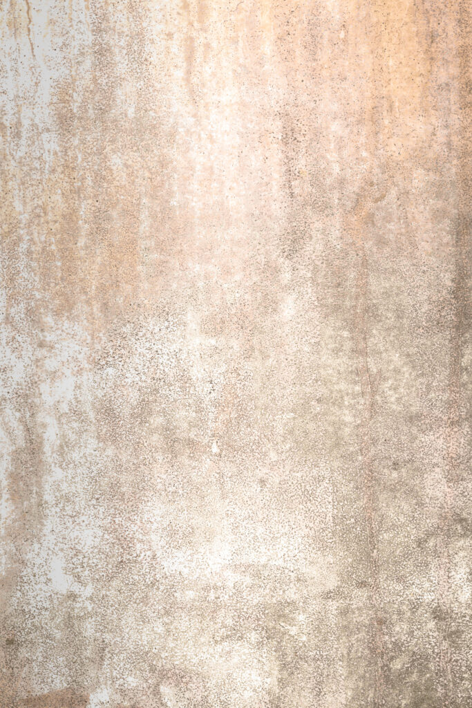 Tło Fotograficzne Palea