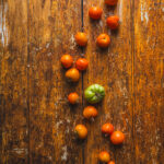 Tło Fotograficzne Terrosa