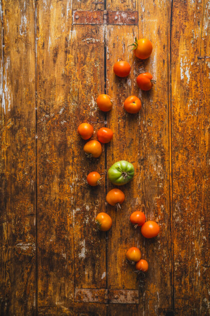 Tło Fotograficzne Terrosa