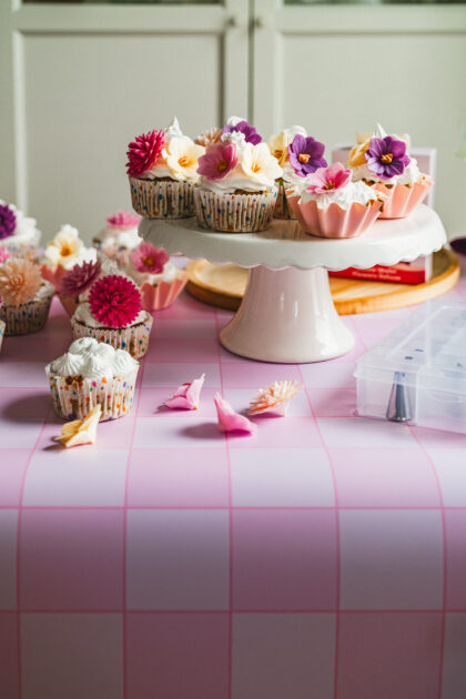 Tło Fotograficzne Pink Picnic