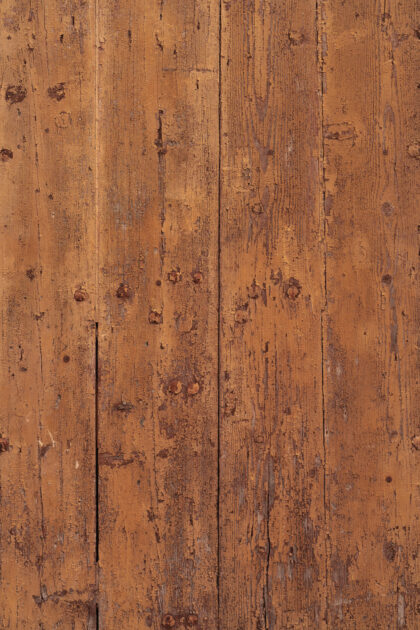 Tło Fotograficzne Odjek