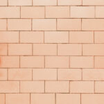 Tło Fotograficzne Koralj