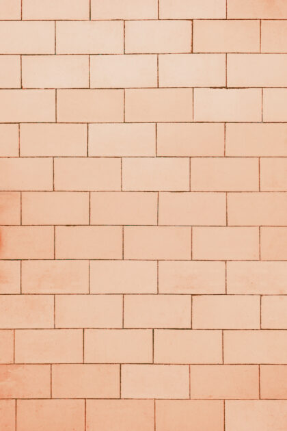 Tło Fotograficzne Koralj