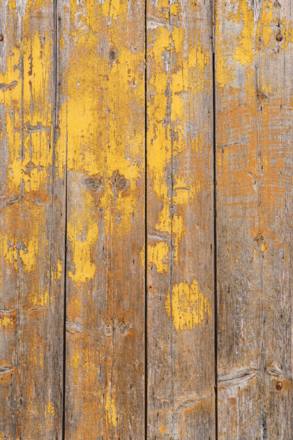 Tło Fotograficzne Kukuruz