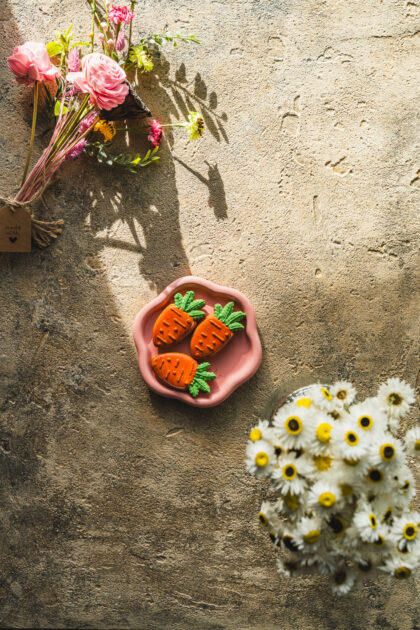 Tło Fotograficzne Espresso Nude