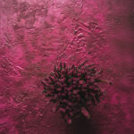 Tło Fotograficzne Heather Blush