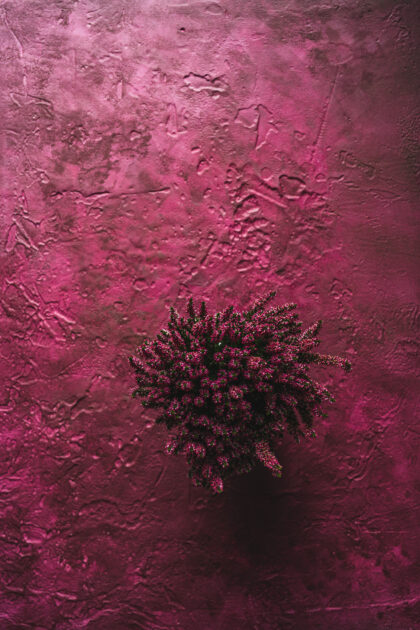 Tło Fotograficzne Heather Blush