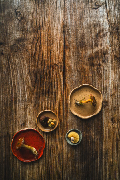 Tło Fotograficzne Autumn Wood