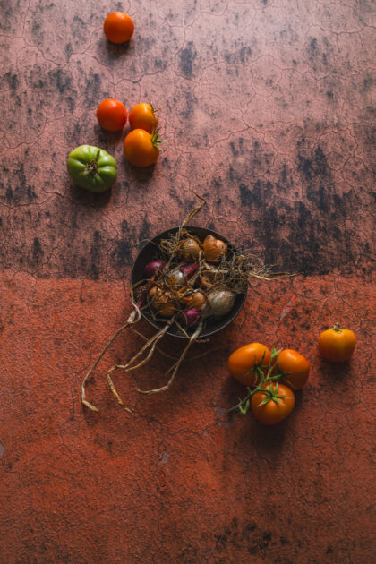 Tło Fotograficzne Mulled Magic