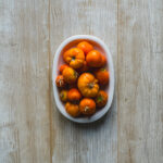 Tło Fotograficzne Misty Woods