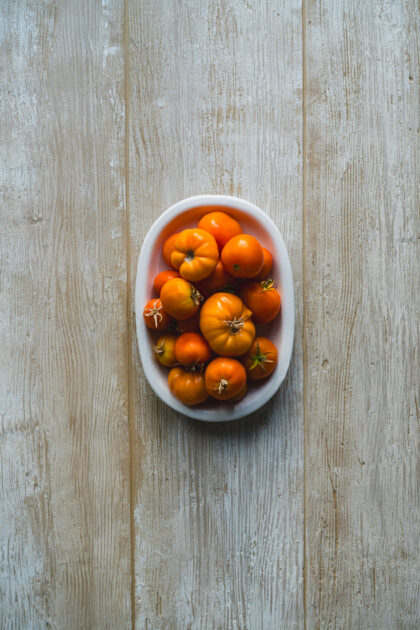 Tło Fotograficzne Misty Woods