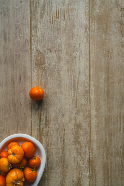 Tło Fotograficzne Forest Calm