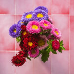 Tło Fotograficzne Sugar Rose