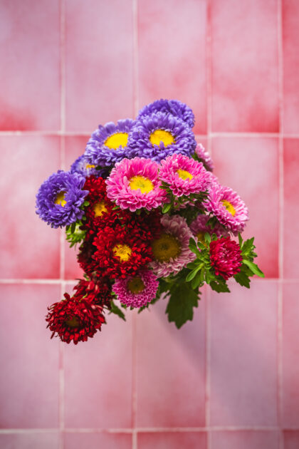 Tło Fotograficzne Sugar Rose