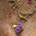 Tło Fotograficzne Hazelnut