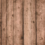 Tło Fotograficzne Acorn