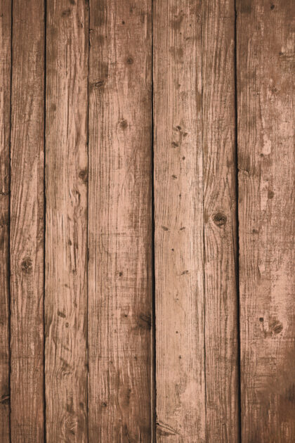 Tło Fotograficzne Acorn