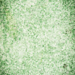 Tło Fotograficzne Green December