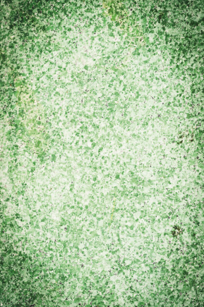 Tło Fotograficzne Green December