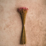 Tło Fotograficzne Loom