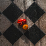 Tło Fotograficzne Studio Terra