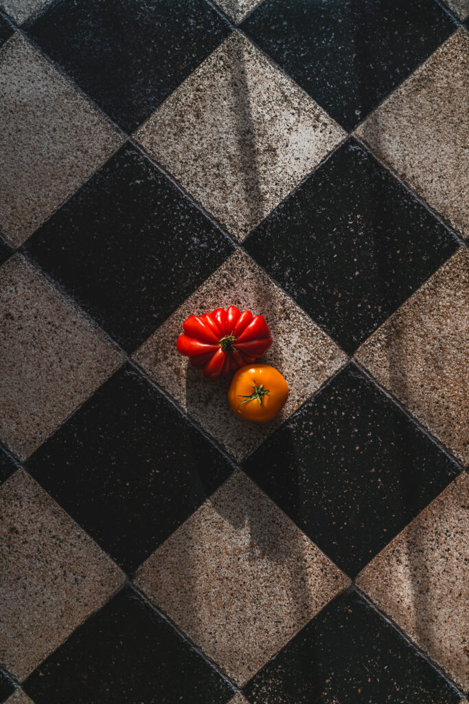 Tło Fotograficzne Studio Terra