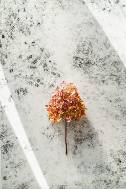 Tło Fotograficzne Flat Grey