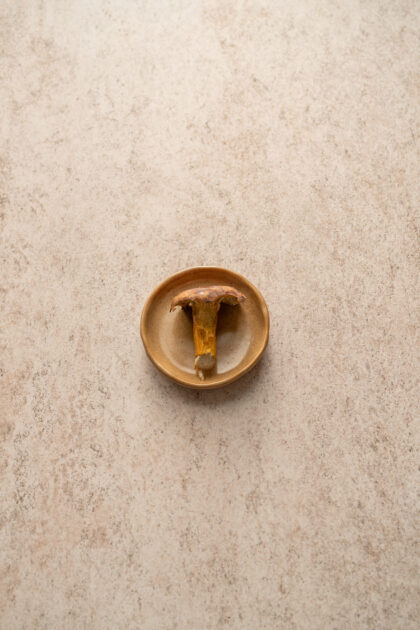 Tło Fotograficzne Muse