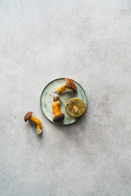 Tło Fotograficzne Mist