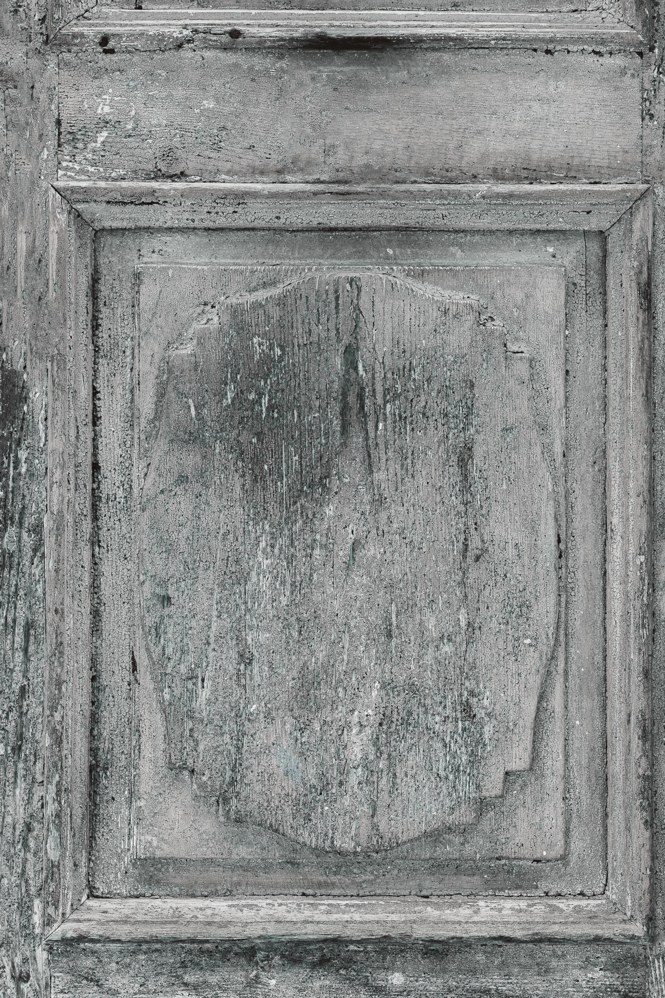 Tło Fotograficzne Silent Door