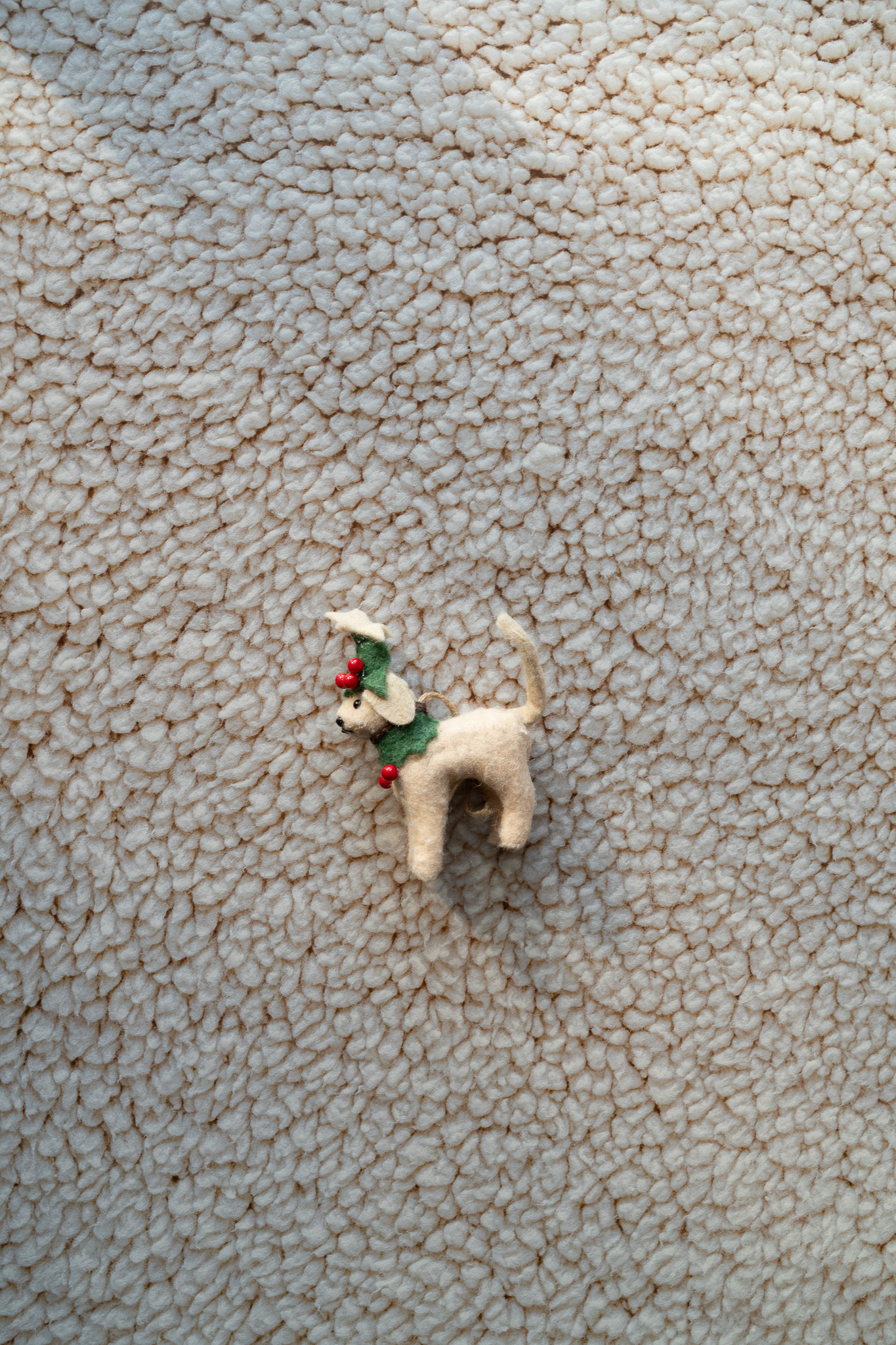 Tło Fotograficzne Velvet Teddy